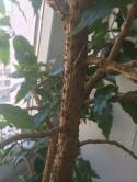 24449_foto_3.