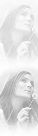 24498_blow_dry_bar_background1.