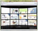 2459Apple_Safari_4_0_4.