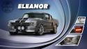 24656_Parigan_Eleanor_car.