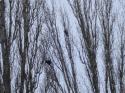 24707_DSC02403.