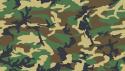 2483_Woodland-Camo.