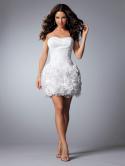 24856_prodam-korotkie-svadebnye-platya-v-nikolaeve--4c7b-1323027622958366-2-big.