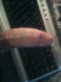 248IMG0088A.