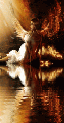 24923_imageedit_3_8213371004.