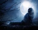 2494Full_Moon_by_moroka323.