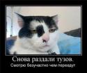 2501images.