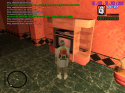 25060_sa-mp-042.