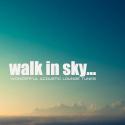 25082_1362054147_walk_in_sky____wonderful_acoustic_lounge_tunes__2013_.