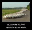 250Humor_14.