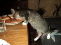 25108_Fail_00780.