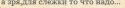 25135_Snimok.