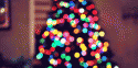 25147_11452104_0_0_3bdf993afcb2fb69f00ff2eb.