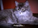 25168_R5nJYMx1gPw.