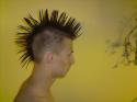 25181_resize_image_1285947559.