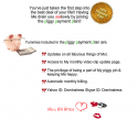 25210_piggypaymentplan1.