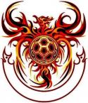 25327_Ist2_2989679-phoenix-ball-emblem2.