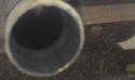 25403_IMAG0138.