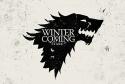 25460_maison-Stark-game-of-thrones-.