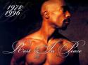 25472pac-rip2.