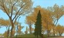 25538_BSOR_CLV_EOTS_002.