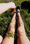 25652_titiit.