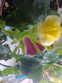 25770_Foto0473.