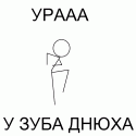 2577zub.