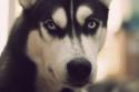 25808_pRlUg7Uqd-A.