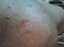 25935_2012-11-08_20_54_13.