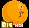 25952_Big_bird.