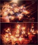 25994_collage.