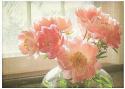 26191_x_6561d0e3.