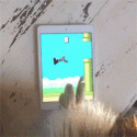 26211_gifki-flappy-people-1100607.