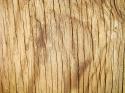 26247_Free-Wood-Texture-14.