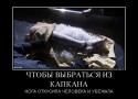 26274_885911_chtobyi-vyibratsya-iz-kapkana_demotivators_to.