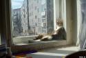 2627cats-43.