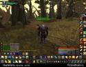 2629WoWScrnShot_050109_200804.