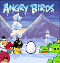 2646bird_01.