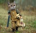 2656_Great-Hunter-In-America-Cat-Kill-The-Dog-Funny-Animal-Image.