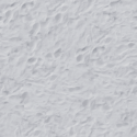 26704_Snow_texture.