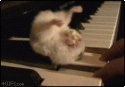 2683Hamster_popcorn_piano.