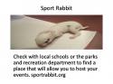 26907_Sport_Rabbit.