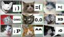 2695Cat_emotions.