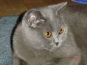 26DSC04241s.