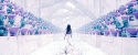 27010_passion_1.