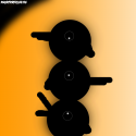 27095_Oboi_Kolibri.