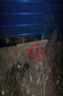 27319_paint_11584235012.