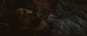 27365_tumblr_lzqx1ftb2G1qer569o1_500.