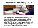 27444_veterinarian_in_lexington_ky.
